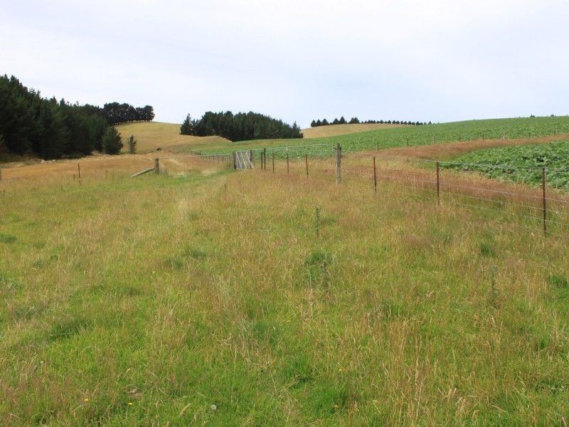 200 Philip Road, Palmerston, Waitaki, 0 habitaciones, 0 baños