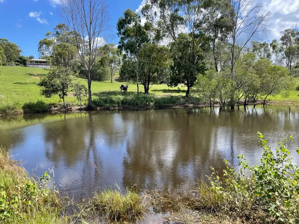 235 Coorooman Creek Road, Cawarral, QLD 4702