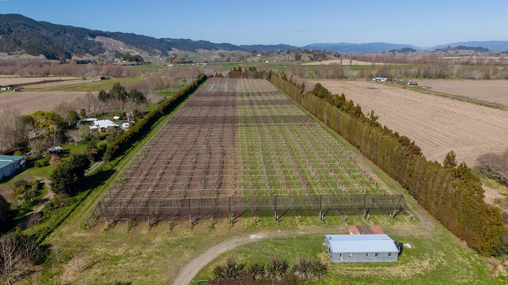 Whakatane Mixed orchard with immediate possession available