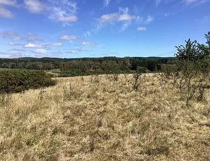 LOT 10 & 10a Daniels Road, Scarsdale, Ballarat, 0部屋, 0バスルーム, Lifestyle Property
