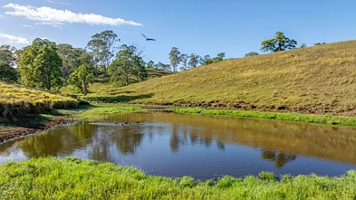 2898 The Bucketts Way, Stroud, NSW 2425, 0 Schlafzimmer, 0 Badezimmer, Lifestyle Property