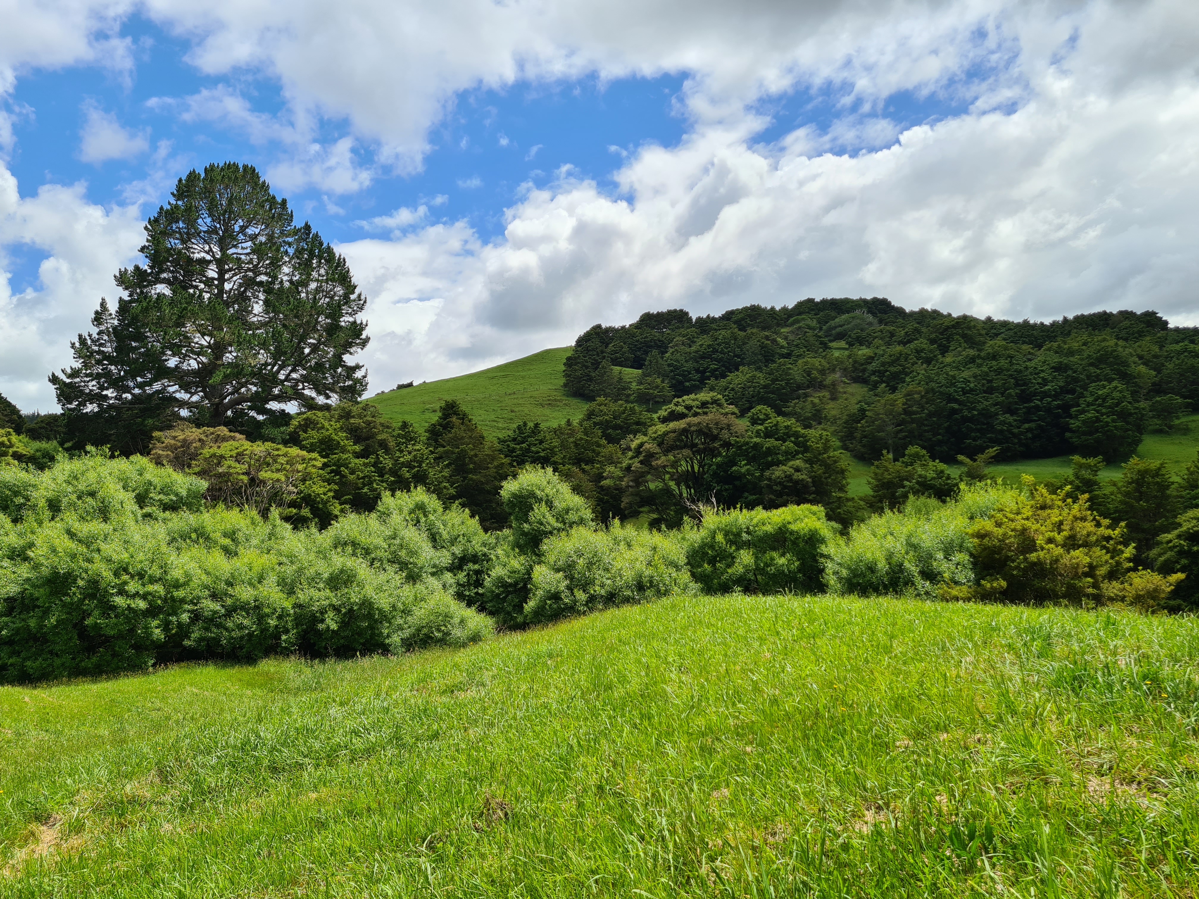 83 Payne Road, Topuni, Kaipara, 0 Bedrooms, 0 Bathrooms