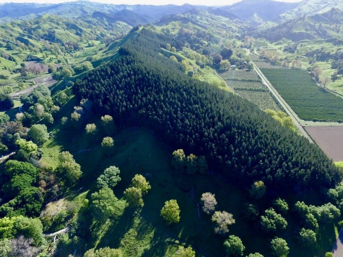 Williams Road, Muriwai, Gisborne, 0 rūma, 1 rūma horoi