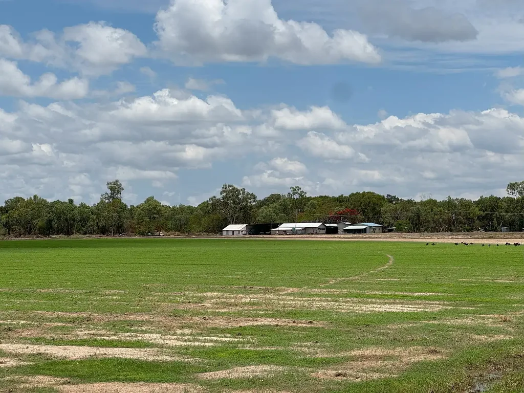 Mutchilba 100 ACRE HAY/LIFESTYLE PROPERTY ON THE WALSH RIVER