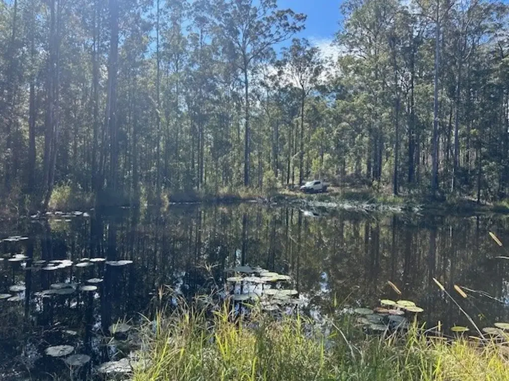 Collombatti Getting Back to Nature