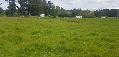 381 Old Port Road, Warepa, Clutha, 0 Bedrooms, 0 Bathrooms, Lifestyle Section