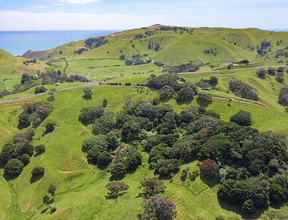 18 Given Road, Pollok, Franklin District, 0 Kuwarto, 0 Banyo, Lifestyle Section