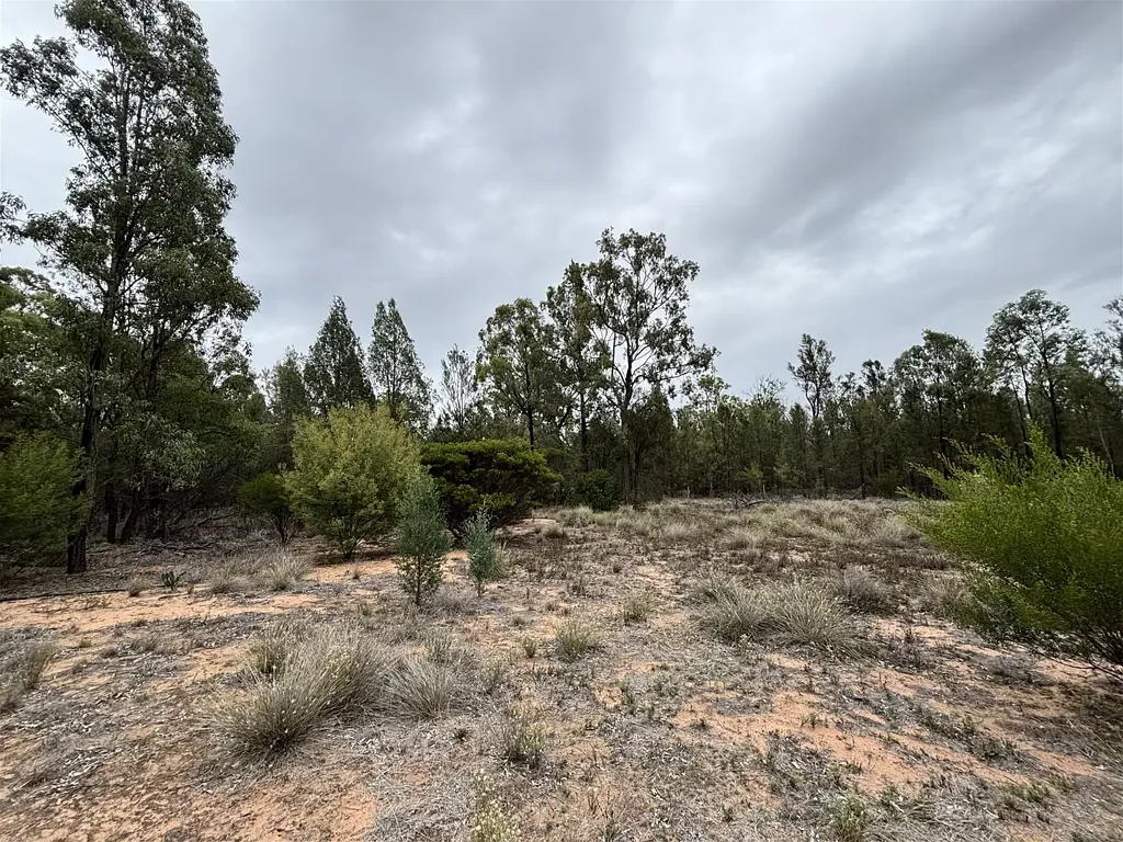 Wattle Ridge 358 ACRES OF RURAL LAND