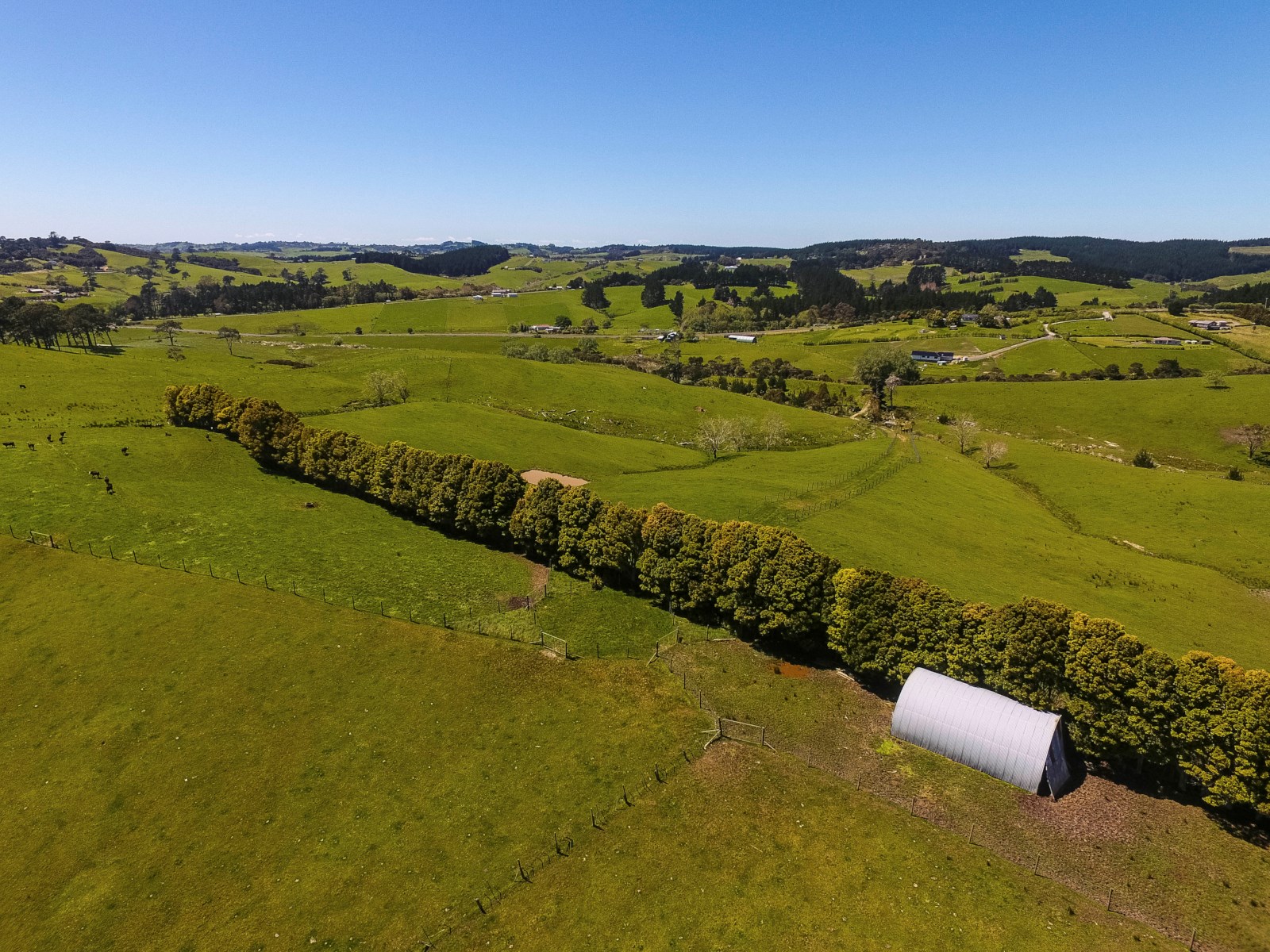 480 Peake Road, Pukemoremore, Waipa, 3 Kuwarto, 1 Banyo