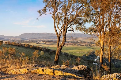 Greta Premium Vacant Land in Established Hunter Valley Estate