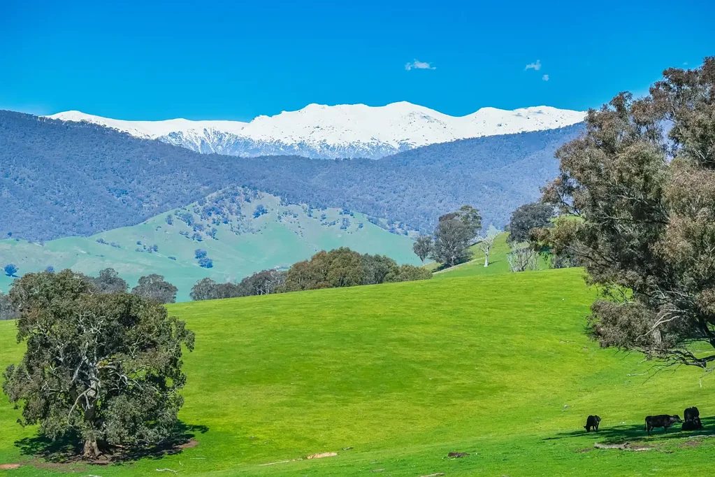 Lot 1 Murray Valley Highway, Towong Upper, VIC 3707