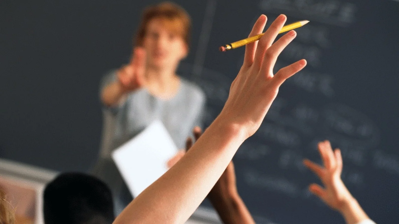 新西兰人要学第二语言了！3月民调显示超半数人想学中文