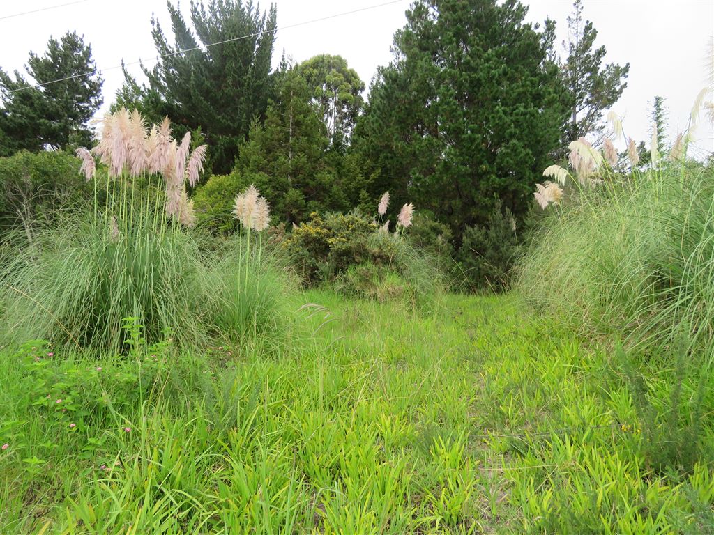 Rakautapu Road, Kohukohu, Far North, 0 chambres, 1 salles de bain