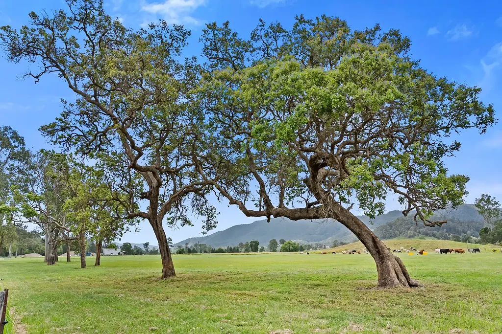 Conondale Absolute Mary River frontage — a rare vacant river flat opportunity at this price point