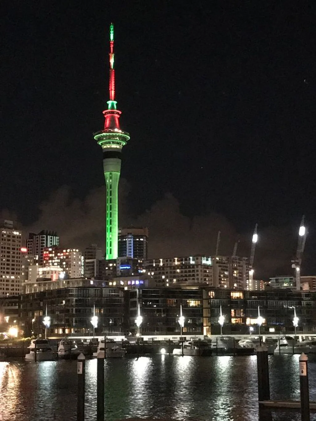 Auckland Central 3房  Location and spacious apartment, owners say sell