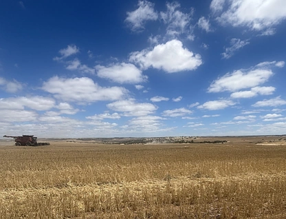 Lot 65 Forrester Road, Mount Erin, Outback (South), 0 غرف, 0 حمامات, Lifestyle Property