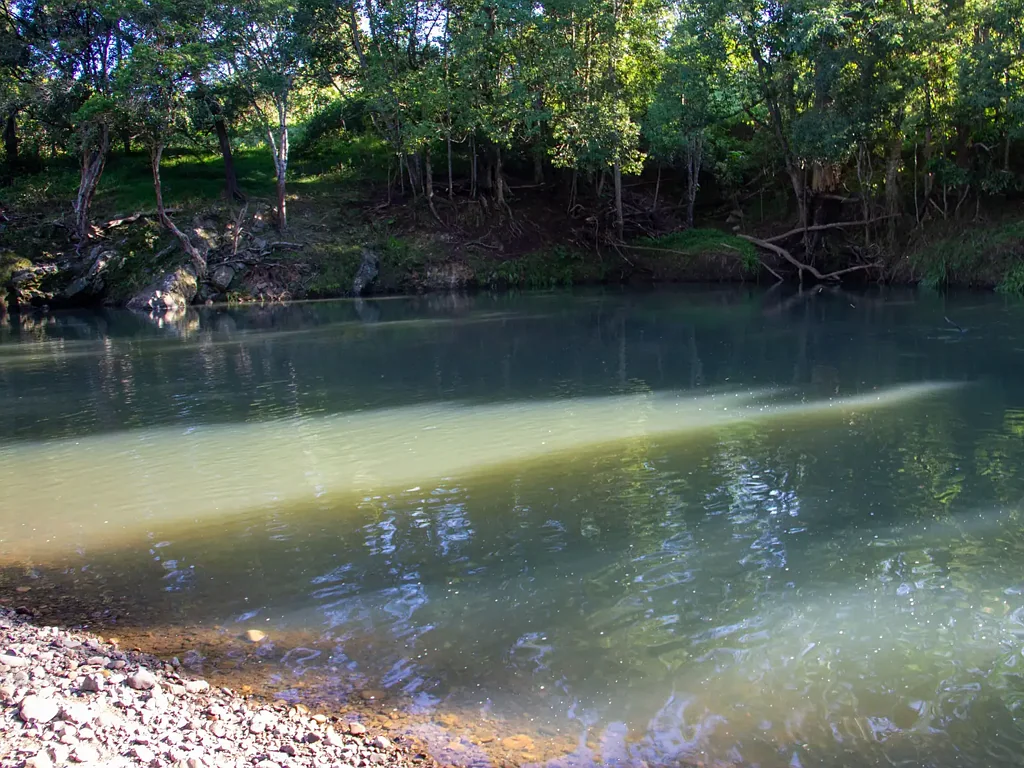 Chillingham 4 Bedroom Lifestyle & Land – Riverfront Acreage with Views to Mount Warning Tweed Valley Northern NSW