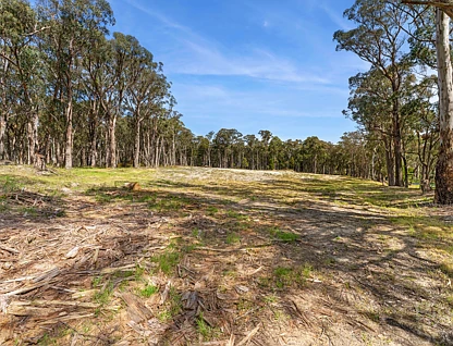 2790 Ballan-Daylesford Road, Daylesford, Ballarat, 0 ਕਮਰੇ, 0 ਬਾਥਰੂਮ, Section