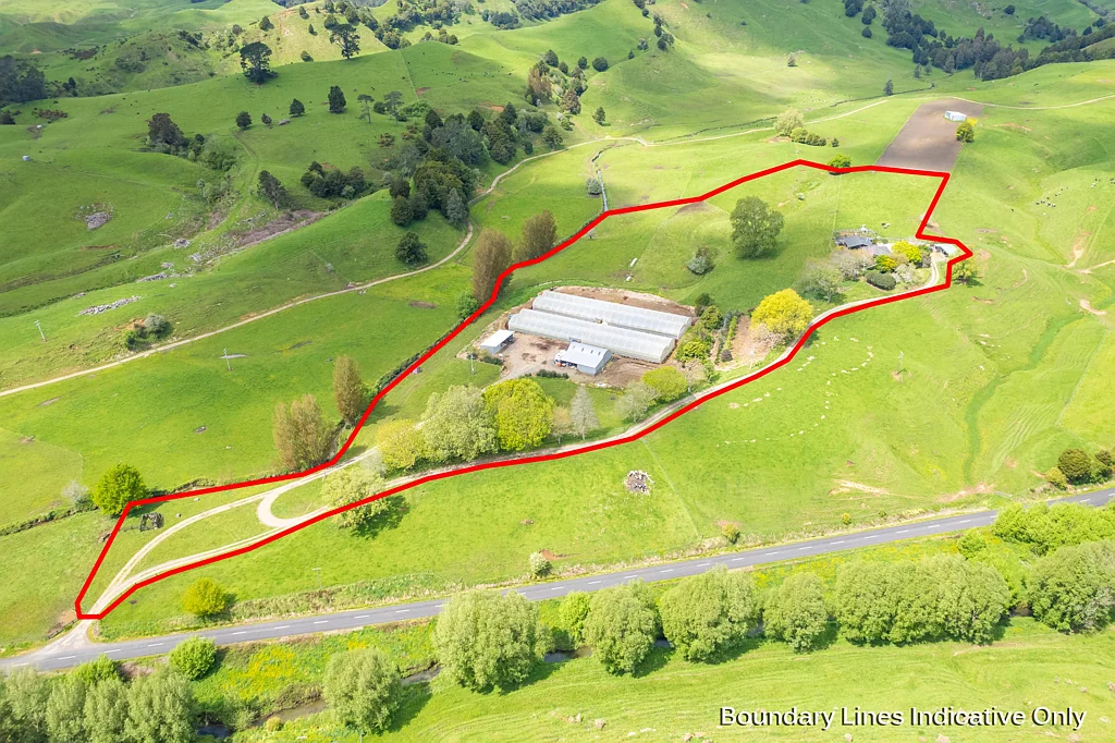 Otorohanga 4Moenga Sustainable lifestyle with income