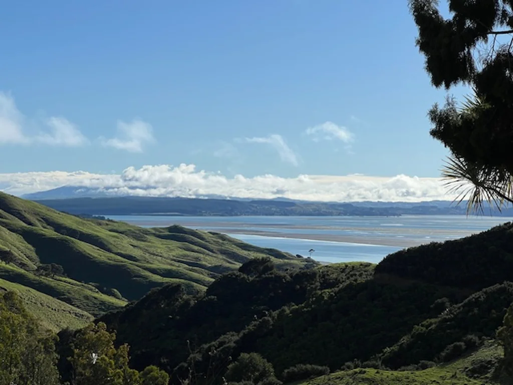 Kawhia  Lot 4 - 0.7171 ha - Spectacular opportunity exists