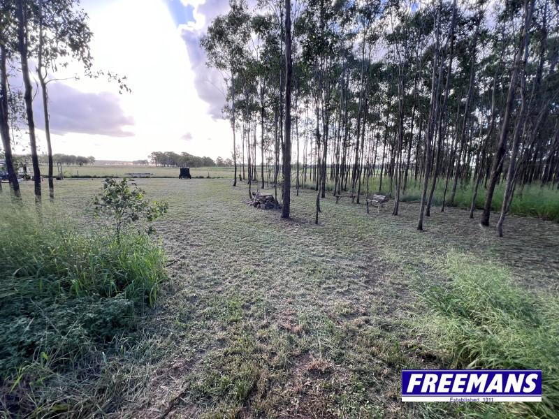 25 SAFFLOWER ST, MEMERAMBI QLD 4610, 0房, 0浴, Section