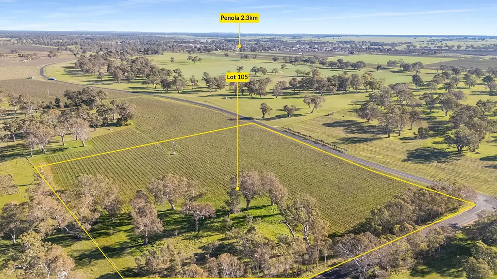 Penola Create a Life Surrounded by Gums and Vines