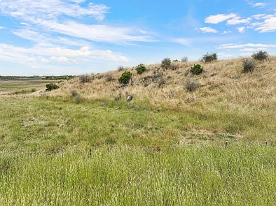 230 Cockerills Rd, Dreeite, VIC 3249, 0 habitaciones, 0 baños, Lifestyle Property