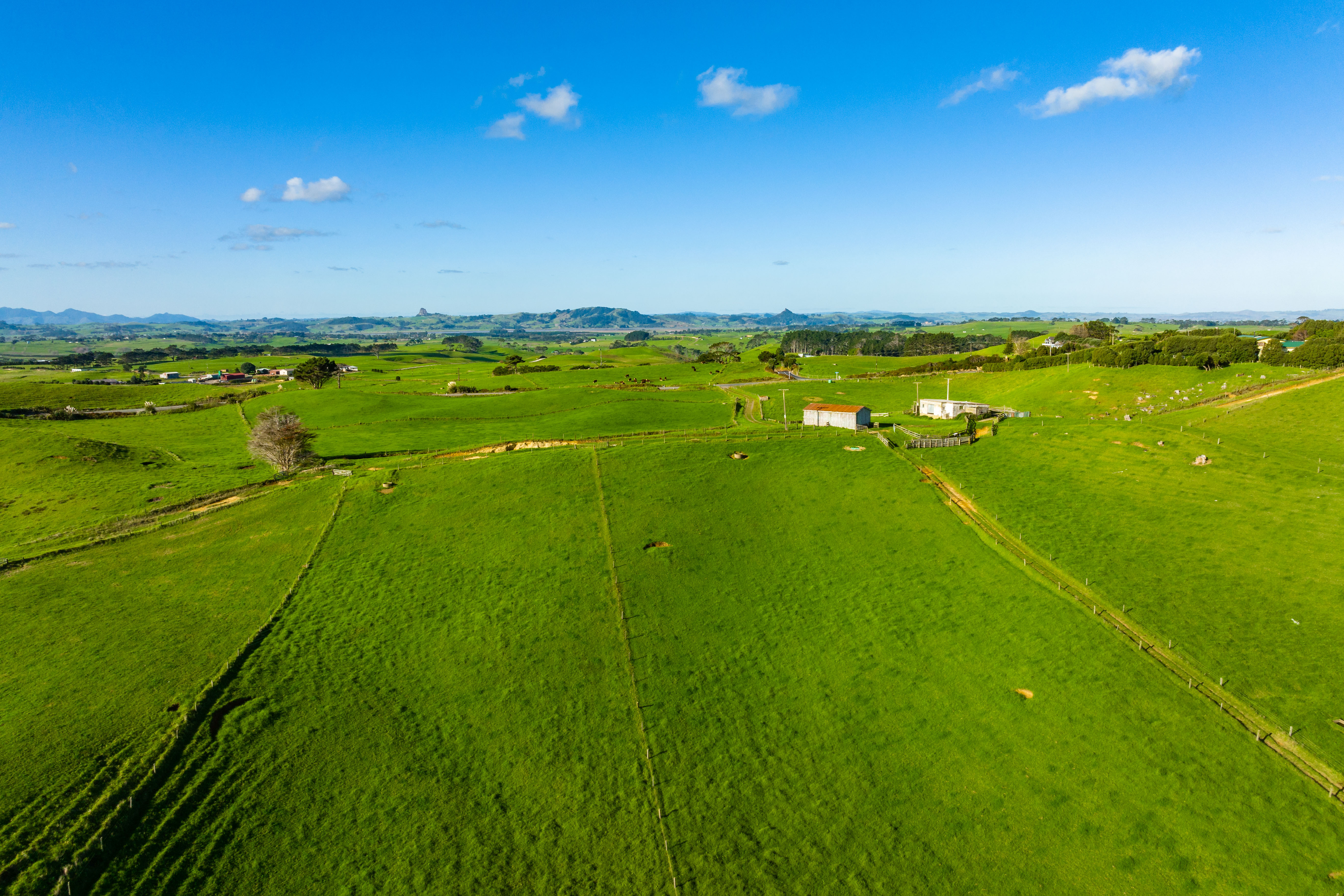 1116 Redhill Road, Te Kopuru, Kaipara, 0 habitaciones, 1 baños, Grazing