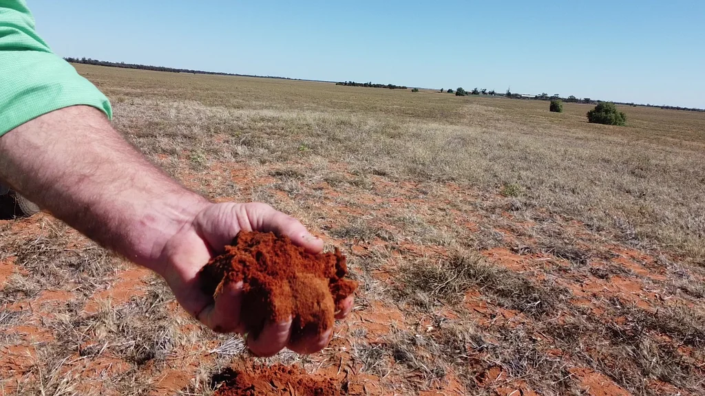 Yamba  SOME OF THE BEST SOILS IN THE RIVERLAND!