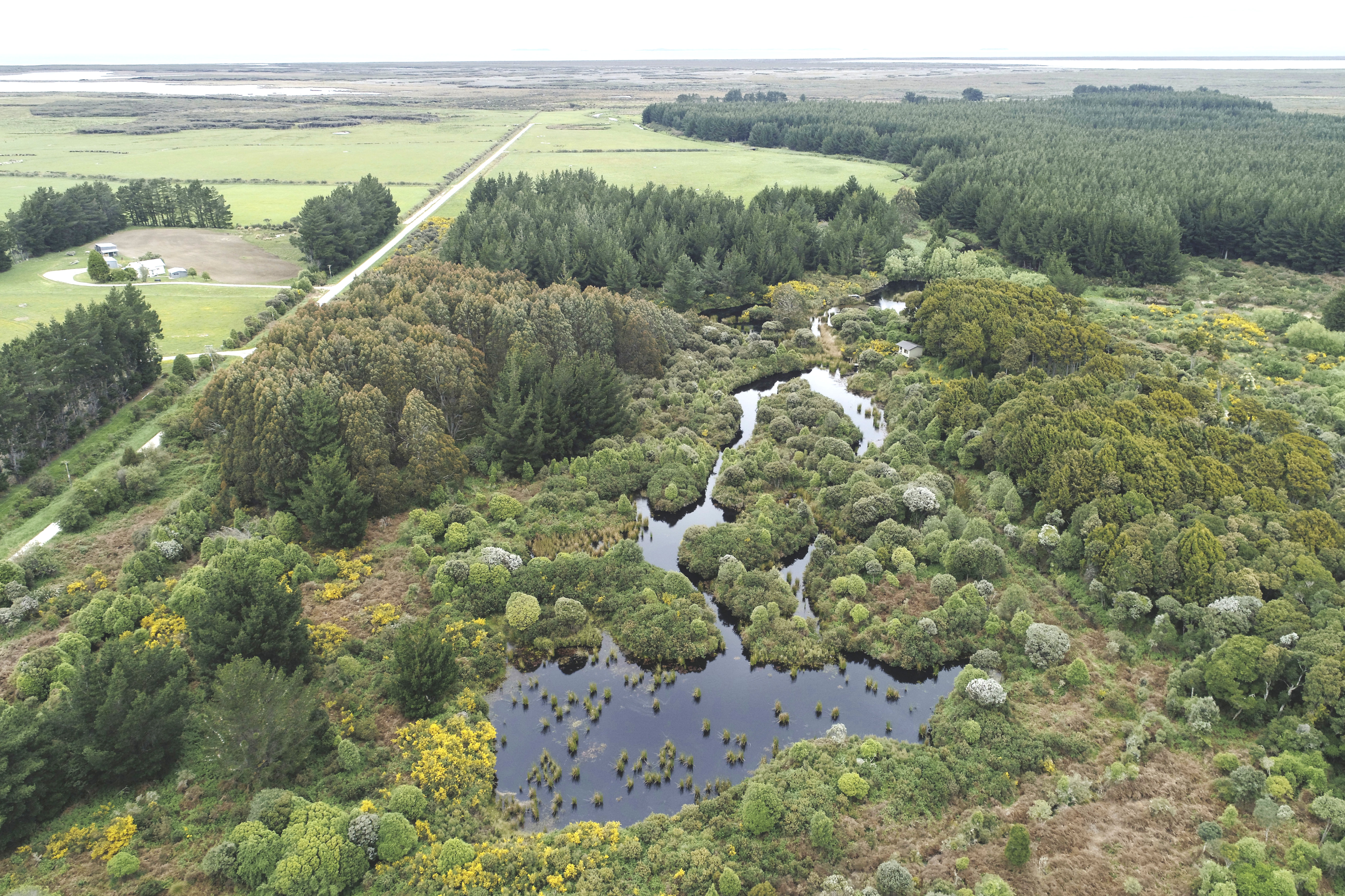 600 Marshall Road, Awarua Wetlands, Southland, 0 Schlafzimmer, 1 Badezimmer