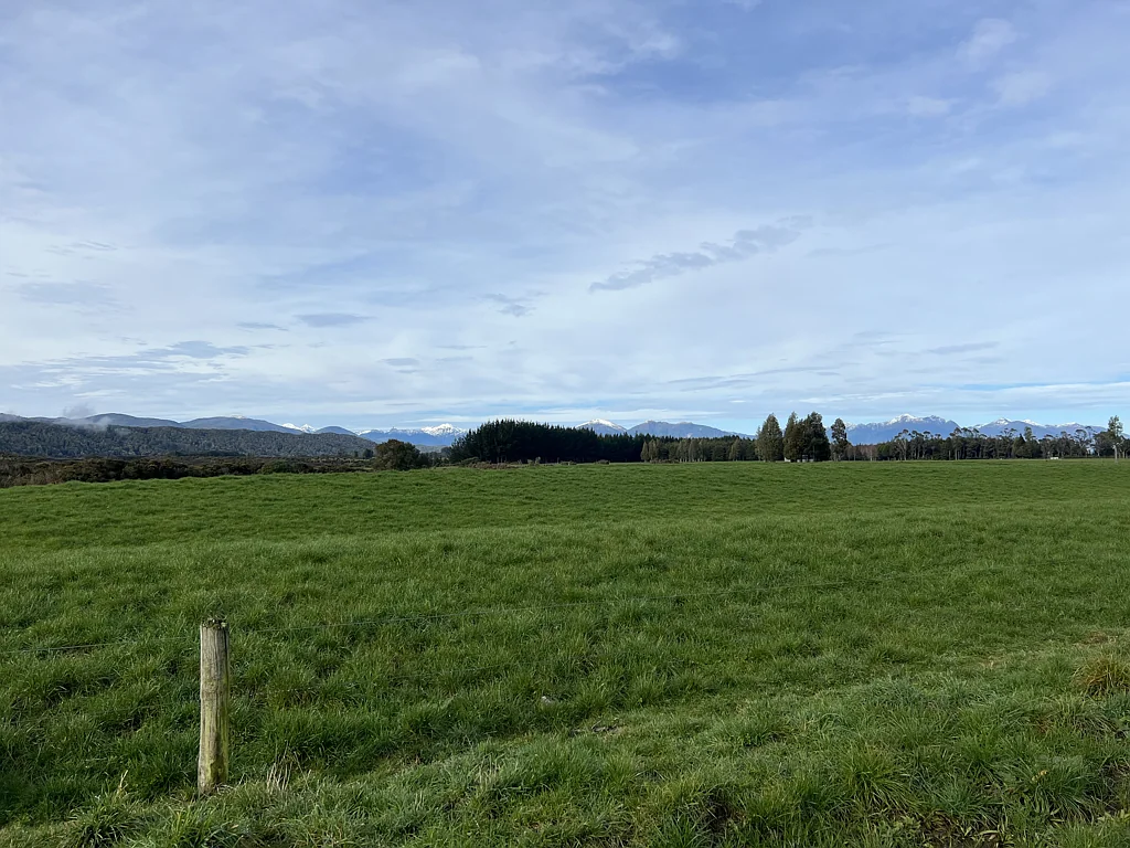 Ikamatua Introducing this Dairy Runoff of 69 hectares