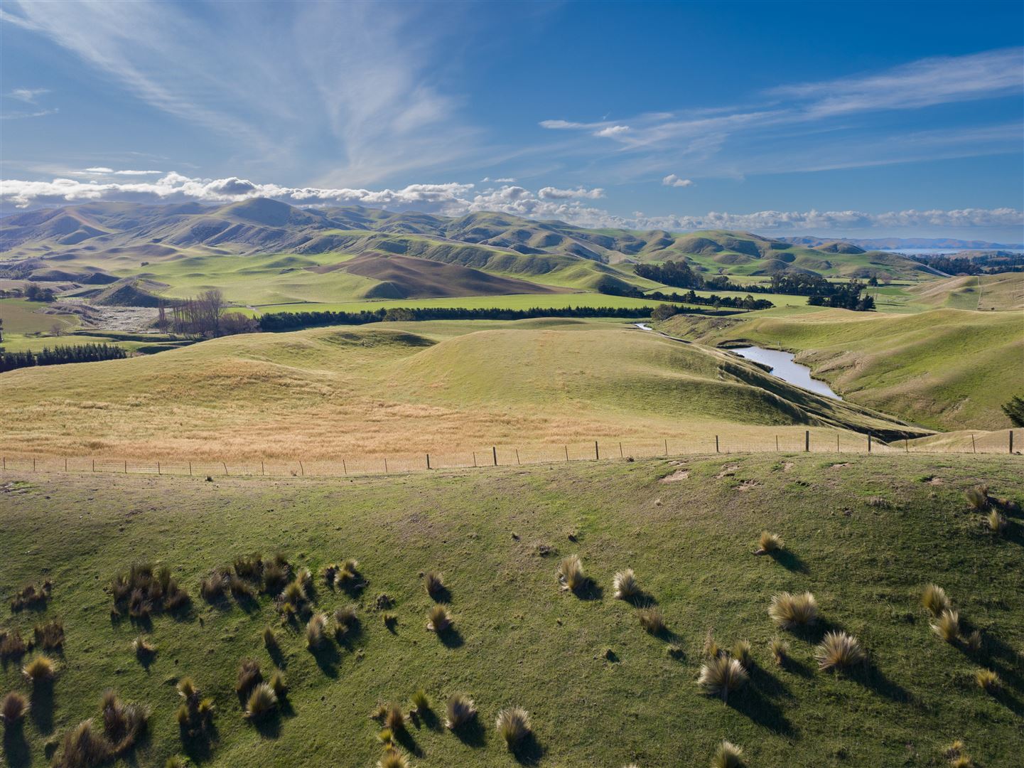 285 Grassmere Road, Seddon, Marlborough, 4 rūma, 2 rūma horoi, Viticulture