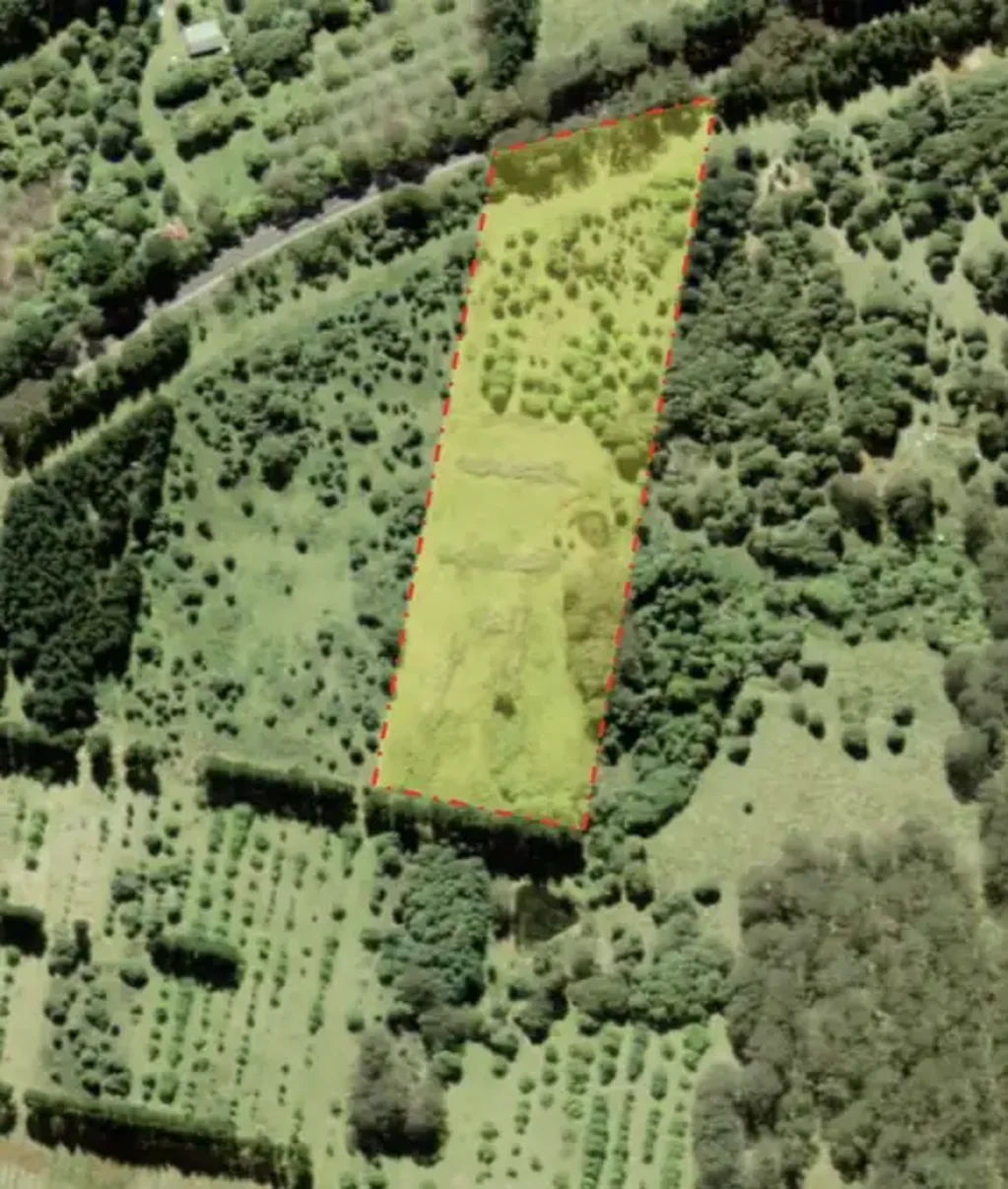 4101 Braidwood Road, Sassafras, NSW 2622