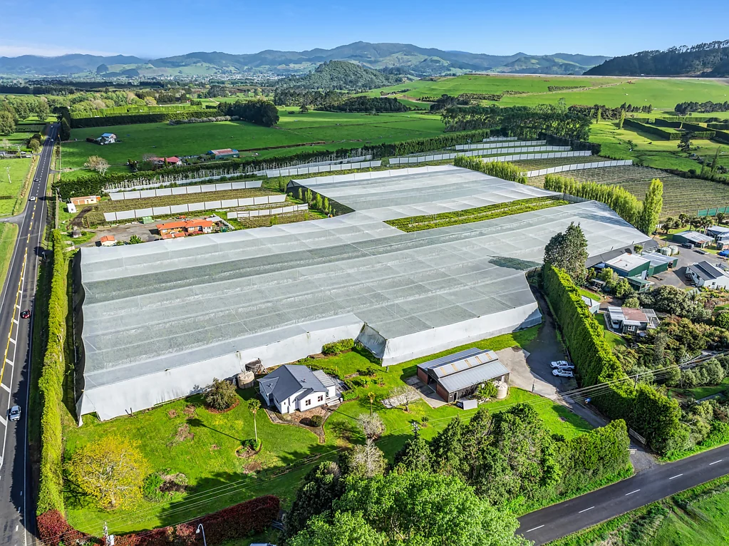 Waihi Twin Palms Orchard
