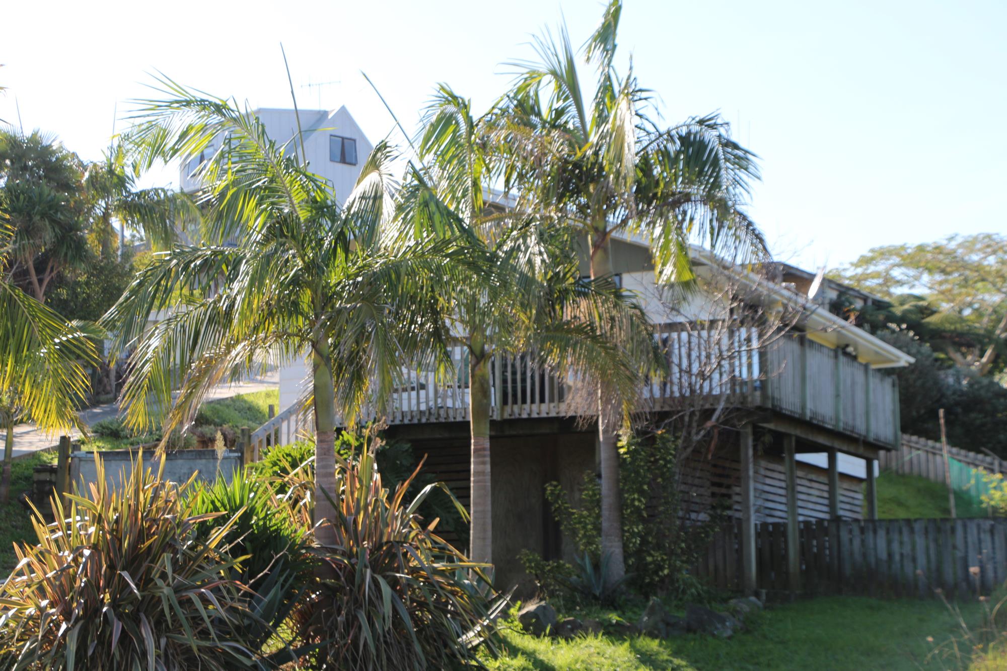 16 Paradise Road, Coopers Beach, Far North, 3 Bedrooms, 1 Bathrooms