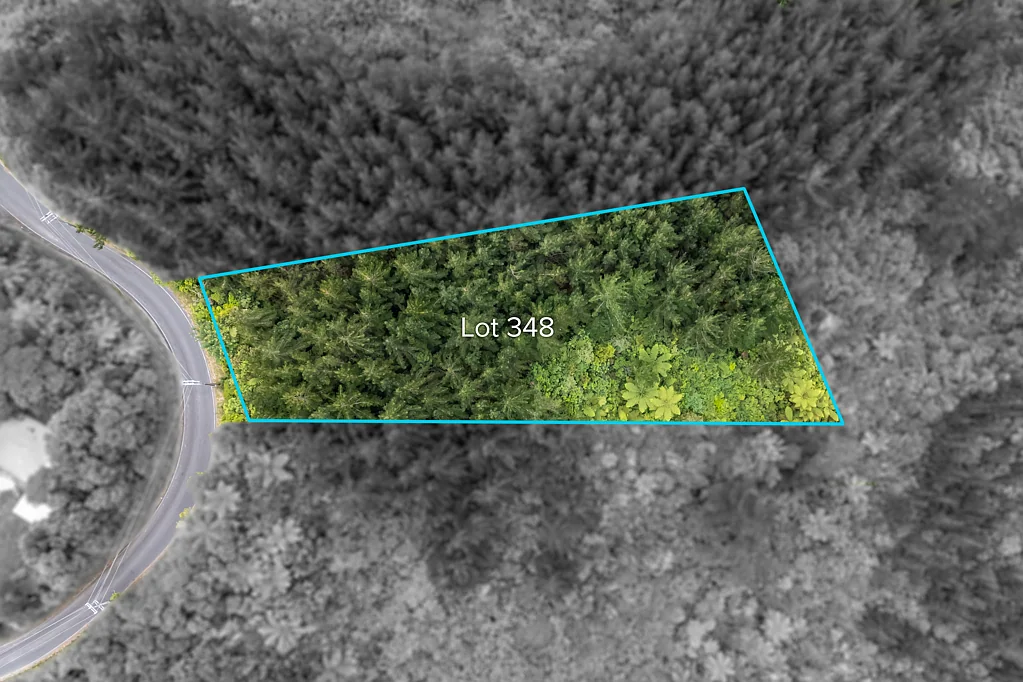 Blue Mountains Go Bush! Native Bush Clad Section BEO $100,000