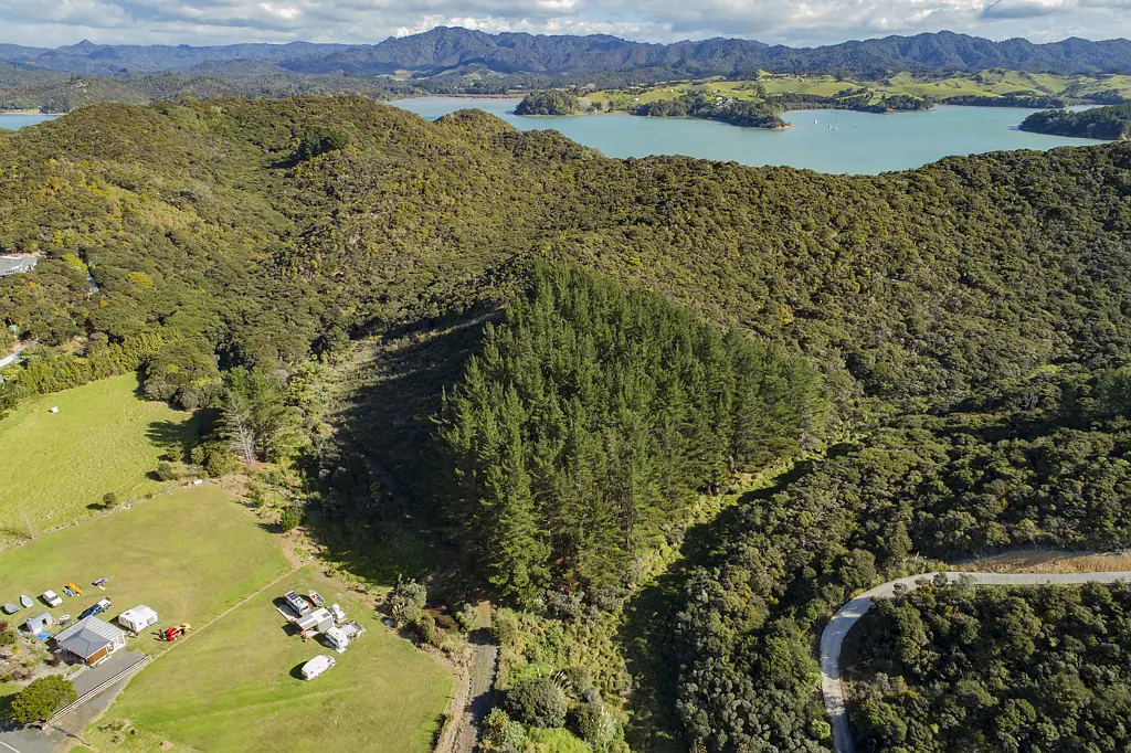 Oakura Coast Your Piece of Paradise - Land at Bland Bay