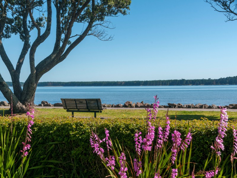 65 Beach Road, Otumoetai, Tauranga, 3房, 0浴