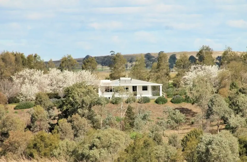 Merriwa 3房  NEW PRICE  $725,000.  Very nice 3 br Home, on a Huge 7 Acre Lot, only 2km from town, with beautiful gardens.