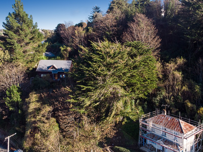 48 Buccleugh Street, North East Valley, Dunedin, 5 Kuwarto, 0 Banyo