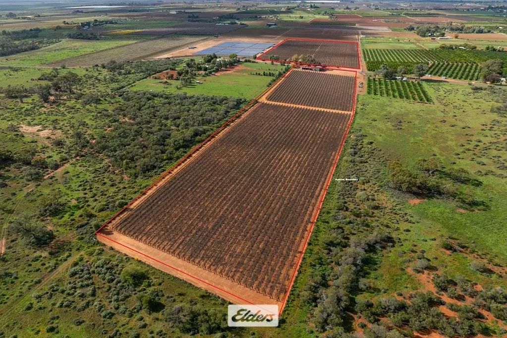 Coomealla Earning an income with lifestyle