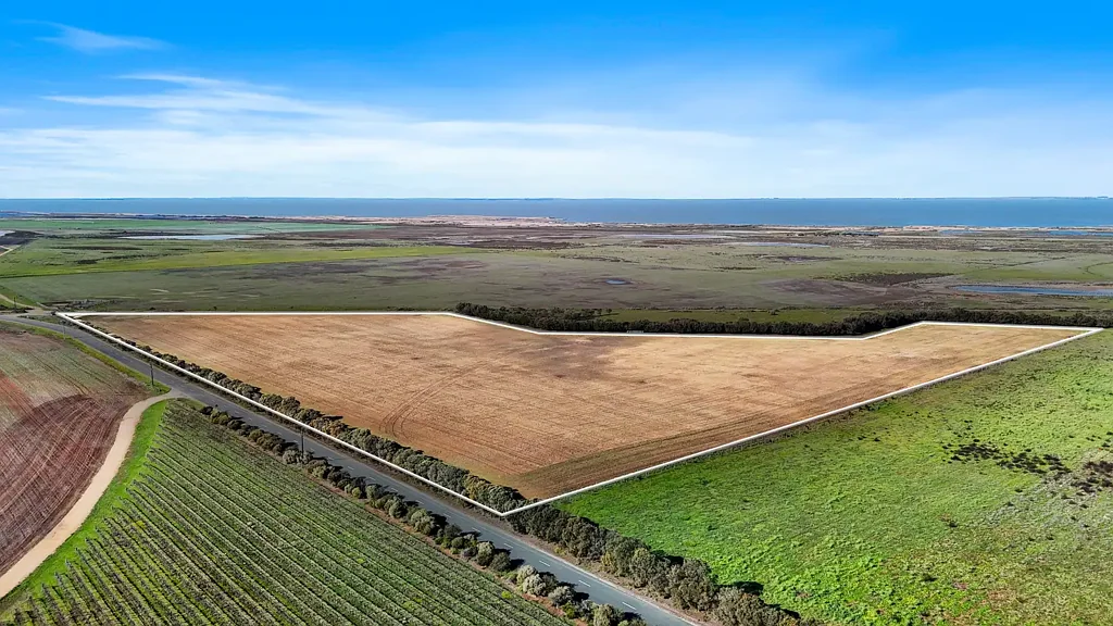 Langhorne Creek A 10-Hectare Breath of Fresh Air, Tailor-Made to your Imagination.