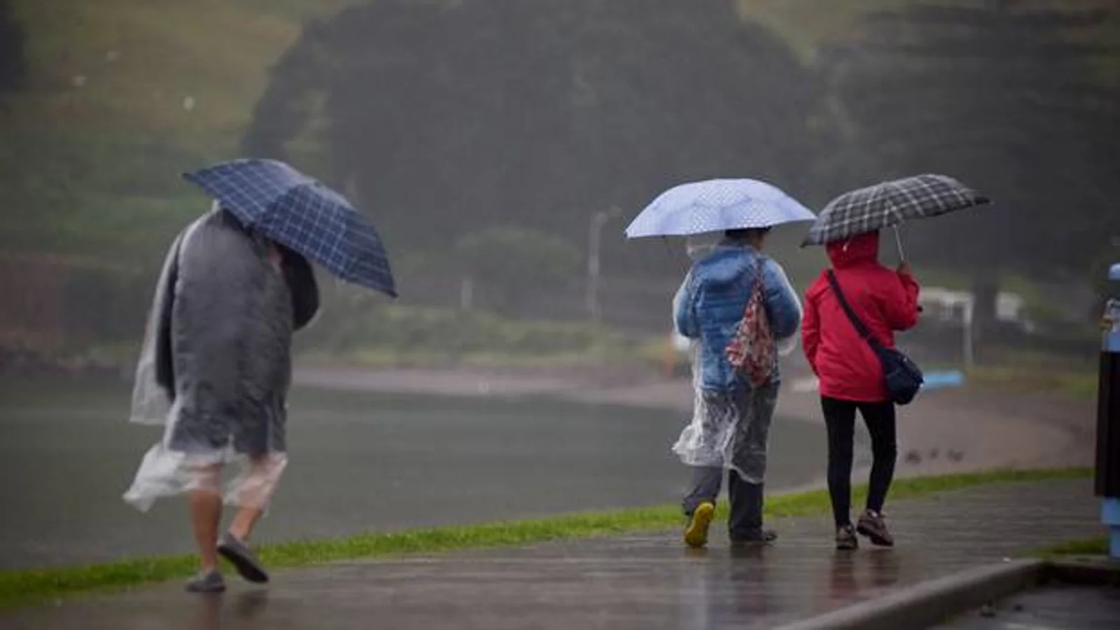周一天气预报：强风将持续，未来将有冷锋及降雨