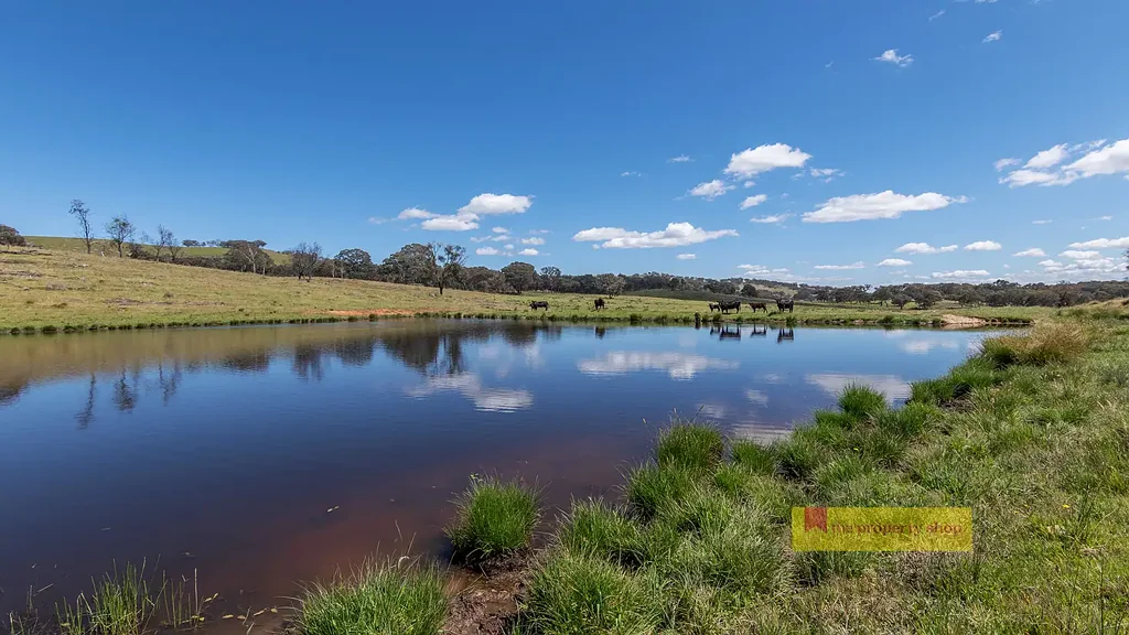 Hargraves 'KILLAWARRA'