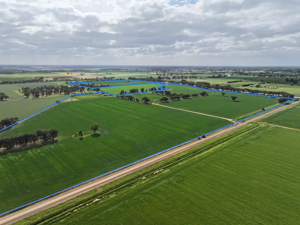 Rochester 145 ACRES IRRIGATED- LOAM SOILS