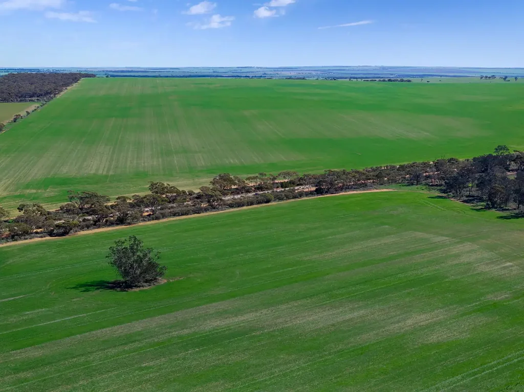 Cortlinye Eyre Peninsula Aggregation with History, Scale & Versatility
