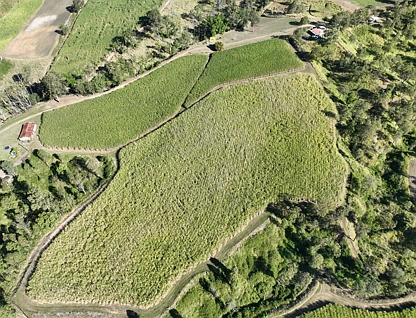 Lot 2 Thornes Road, Finch Hatton, Mackay, 0 habitaciones, 0 baños, Lifestyle Property