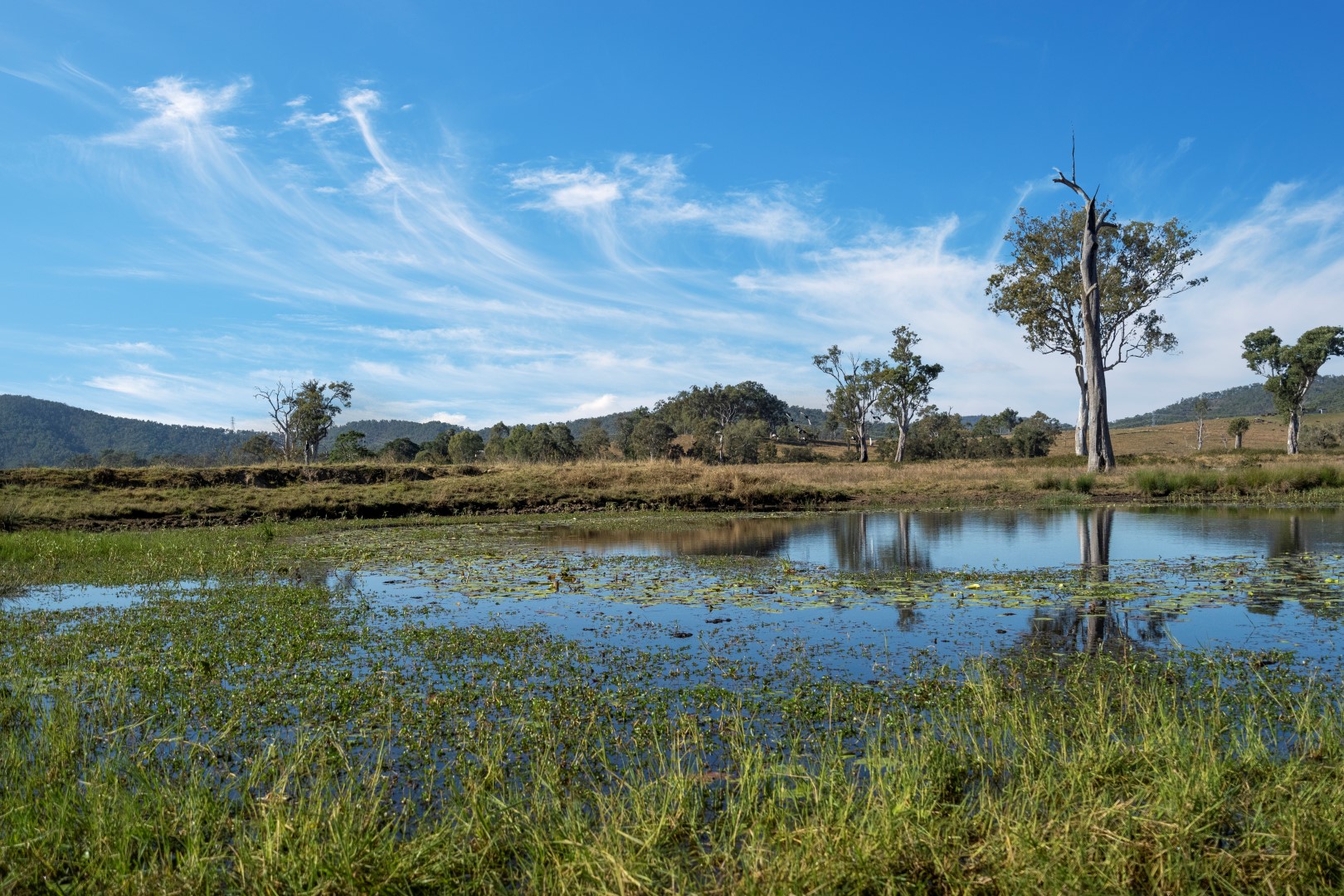 138-164 WARDS RD, SOUTH RIPLEY QLD 4306, 0 phòng ngủ, 0 phòng tắm, Section