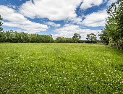 144 School Road, Culverden, Hurunui, Canterbury, 0房, 0浴, 牧场