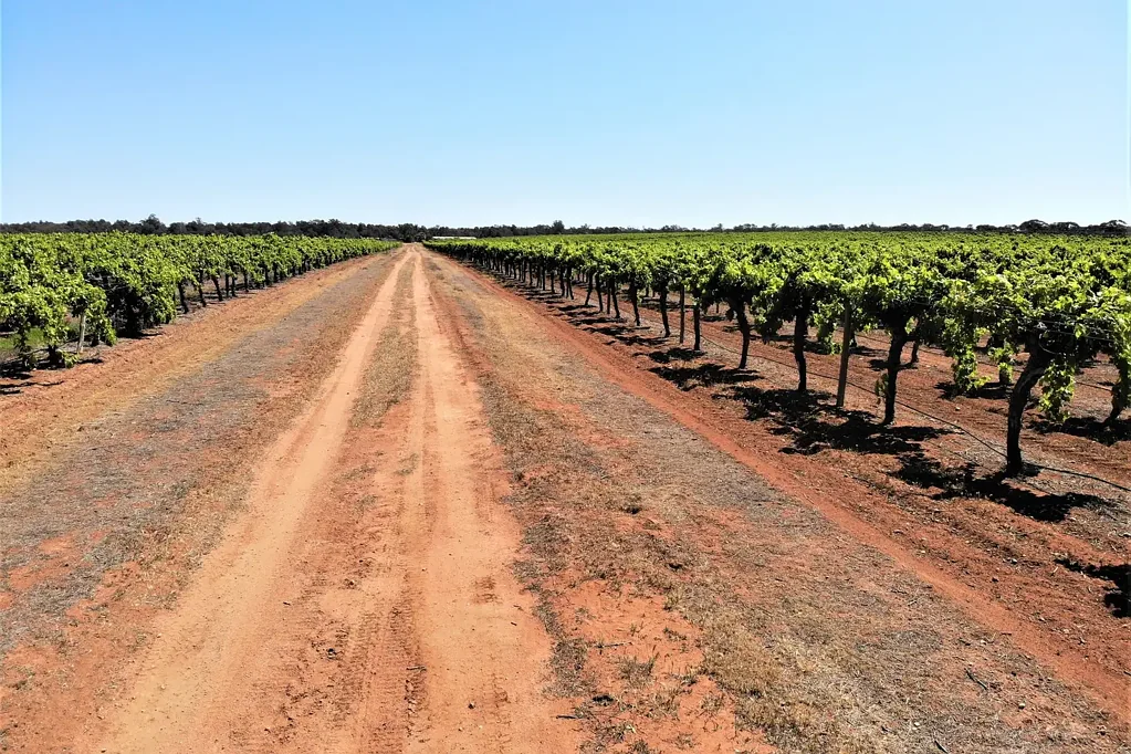 Euston Tapaulin Farm - 207 Ha Farming Property